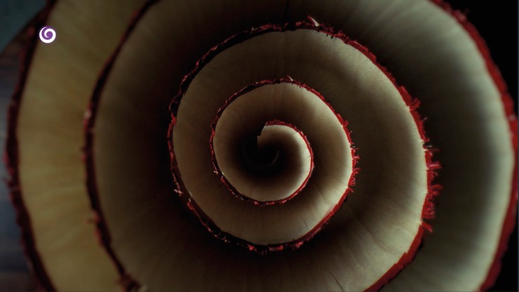 Nová staničná grafika televízie JOJ