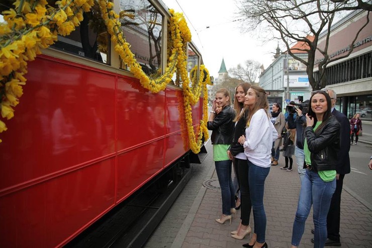 Deň narcisov s finalistkami Miss Slovensko 2016
