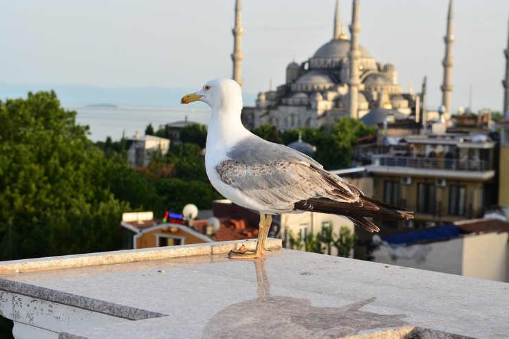 Lásky v Istanbule - Istanbul
