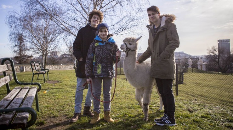 NAŠI chalani v ZOO 6