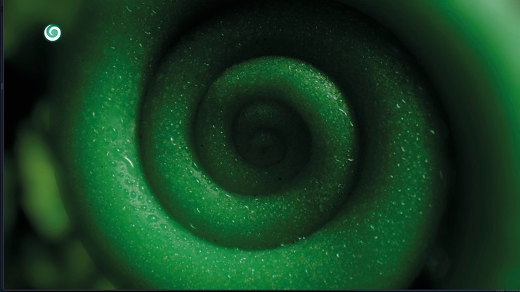 Nová staničná grafika televízie JOJ