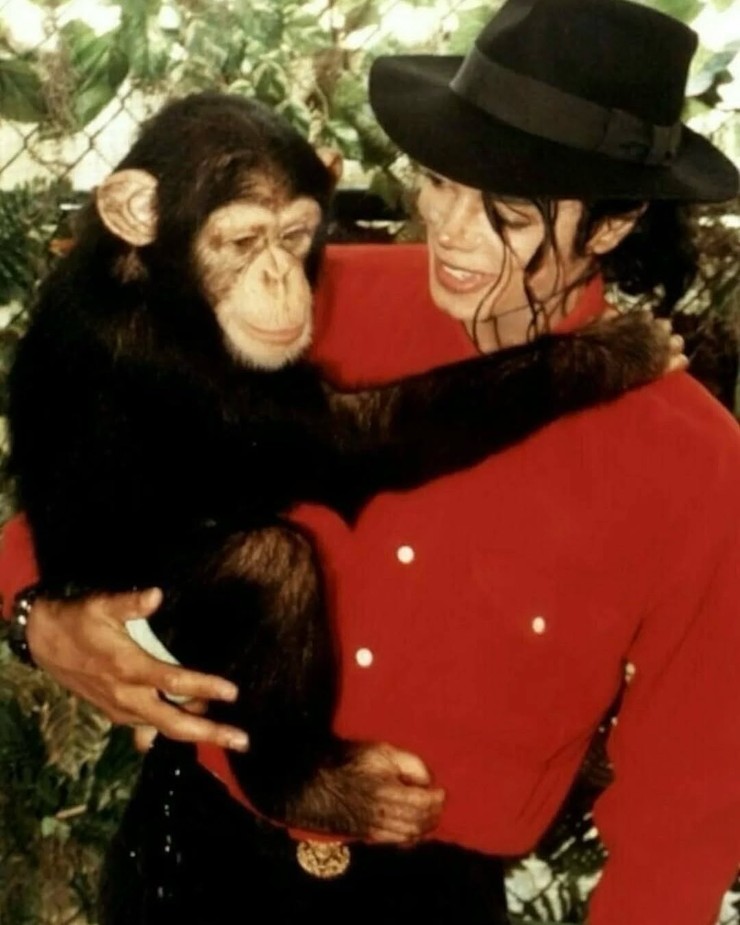 Michael Jackson so svojím šimpanzom (2)