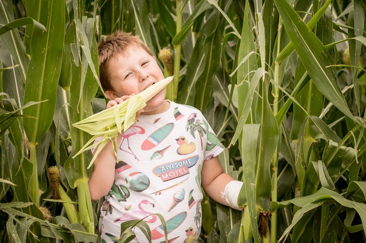 Prázdniny - Samko Kennedy v kukurici