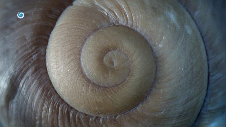 Nová staničná grafika televízie JOJ