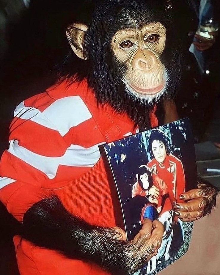 Michael Jackson so svojím šimpanzom (4)