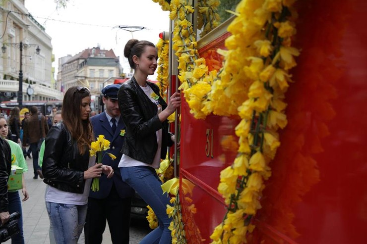 Deň narcisov s finalistkami Miss Slovensko 2016