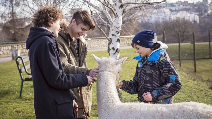NAŠI chalani v ZOO 7
