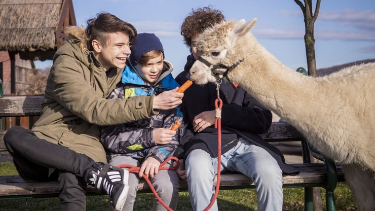 NAŠI chalani v ZOO 1