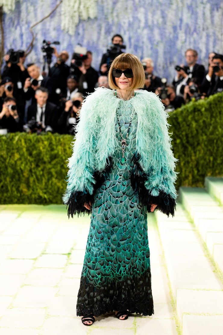Met Gala 2026 - Anna Wintour