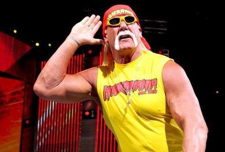 Hulk Hogan