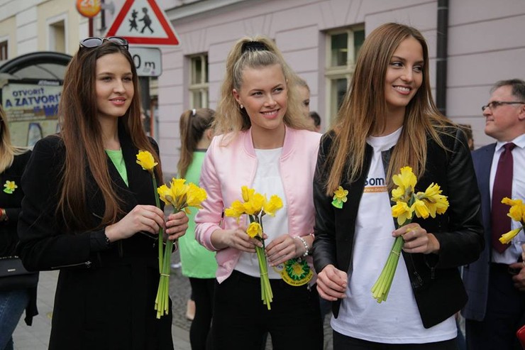 Deň narcisov s finalistkami Miss Slovensko 2016