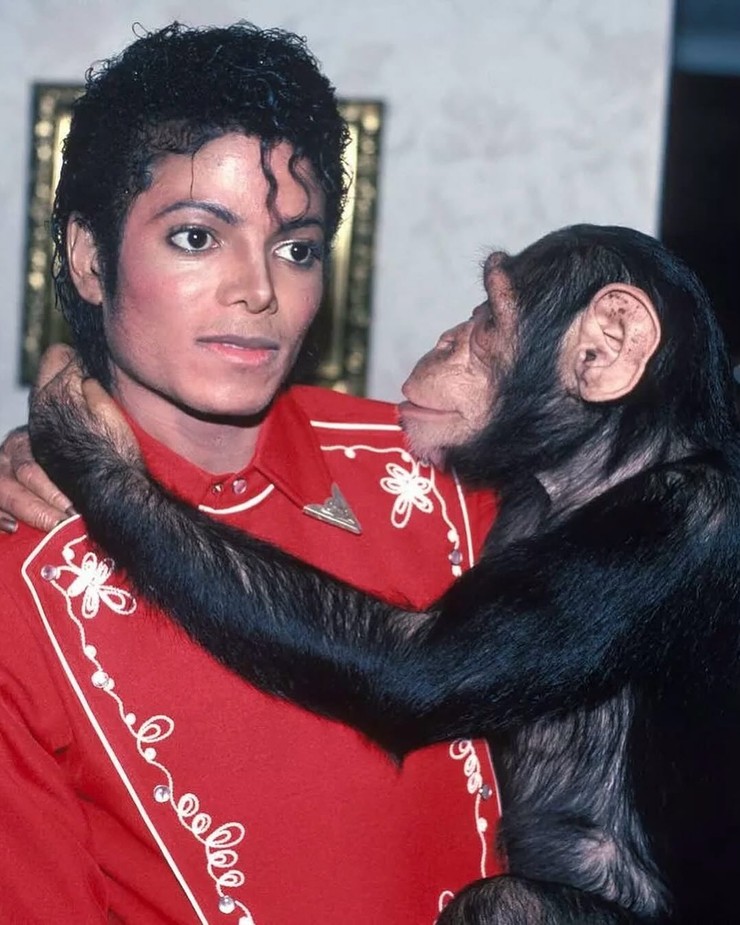 Michael Jackson so svojím šimpanzom (7)