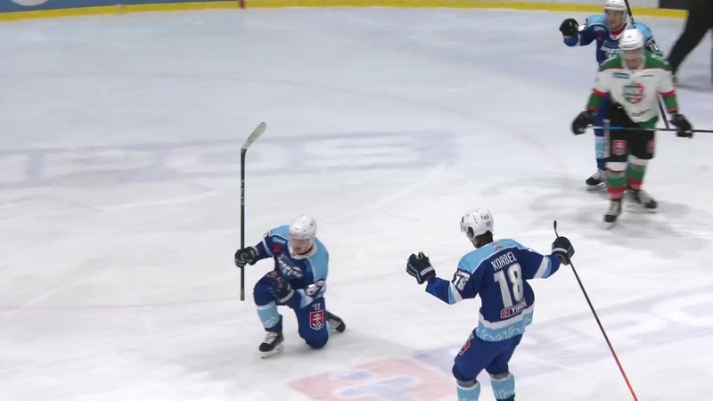 TSS Group Dubnica - HK Skalica