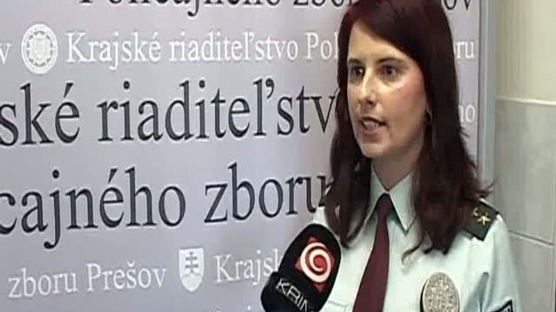 Simulácia vysokej školy datovania hry