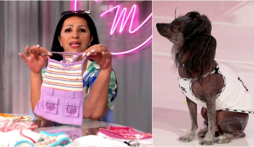 Nora v Maniačkach ukáže aj Šárikine outfity: Veď tá má skoro viac vecí ako niektoré ženy!