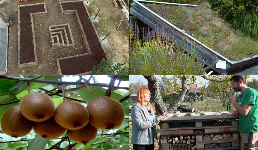 Záhrada plná dobrých nápadov: Naši chalani zabodovali fantastickou „prerábkou“