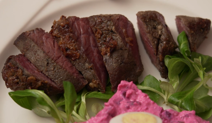 Hlavné jedlo: Boxer na tanieri