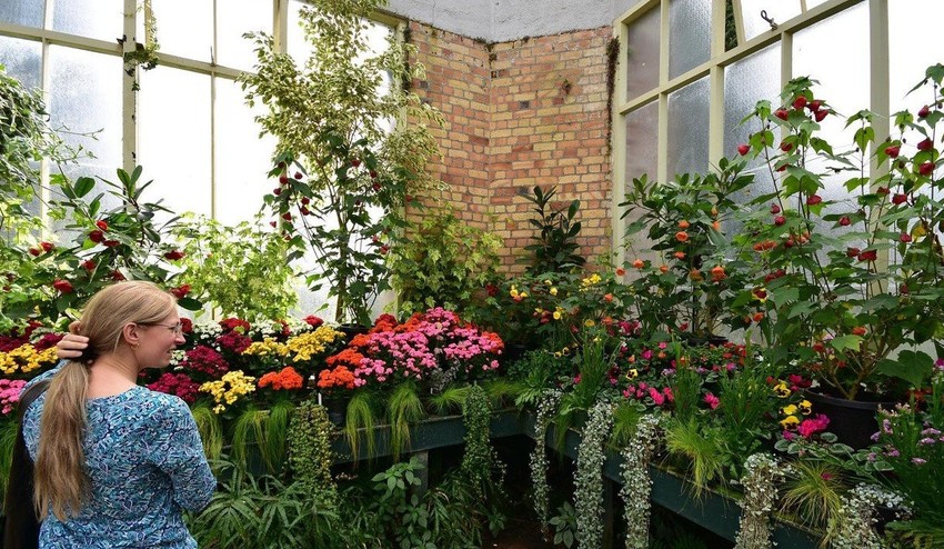 Atraktívny priestor zimnej záhrady: Skvelá príležitosť na výnimočné nápady!