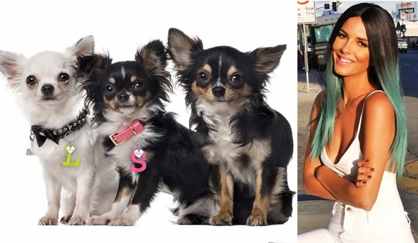 Ozdobte svojho psíka štýlovo: Vyhrajte jedinečný prívesok KUKU od Soničky Skoncovej!