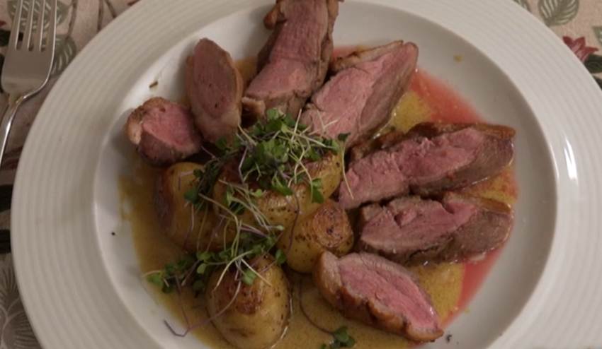 Hlavné jedlo: Lepšie letieť domov a lúpať buráky