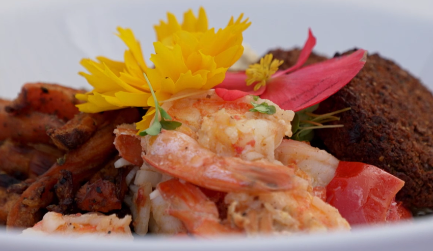 Hlavné jedlo: Manfredova veľká štvorka