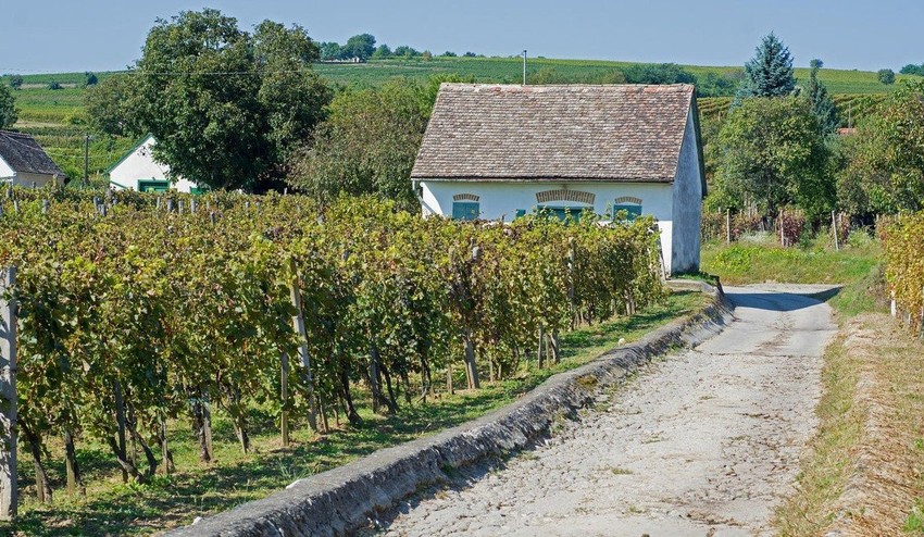 Mama Zuzany Haasovej sa chce sťahovať: Hľadá domček vo vinárskej oblasti