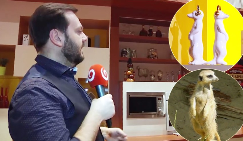 Zahájili sme pátranie po štúdiu: Vylúštite s nami záhadu miznúcich surikát a vyhrajte!