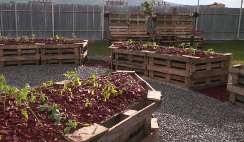 Palety využijete aj v záhrade na veľa spôsobov: Nechajte sa inšpirovať našimi nápadmi!