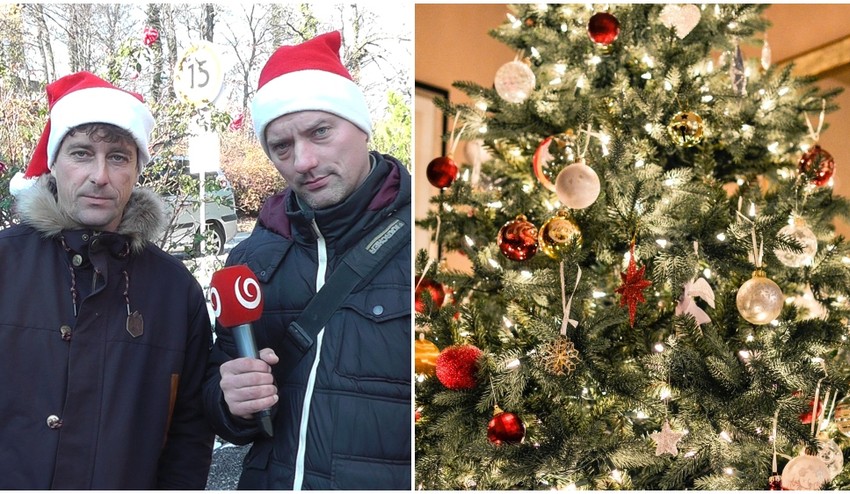 Vyberte si správne: Ktorý ihličnatý stromček vydrží počas Vianoc najdlhšie?