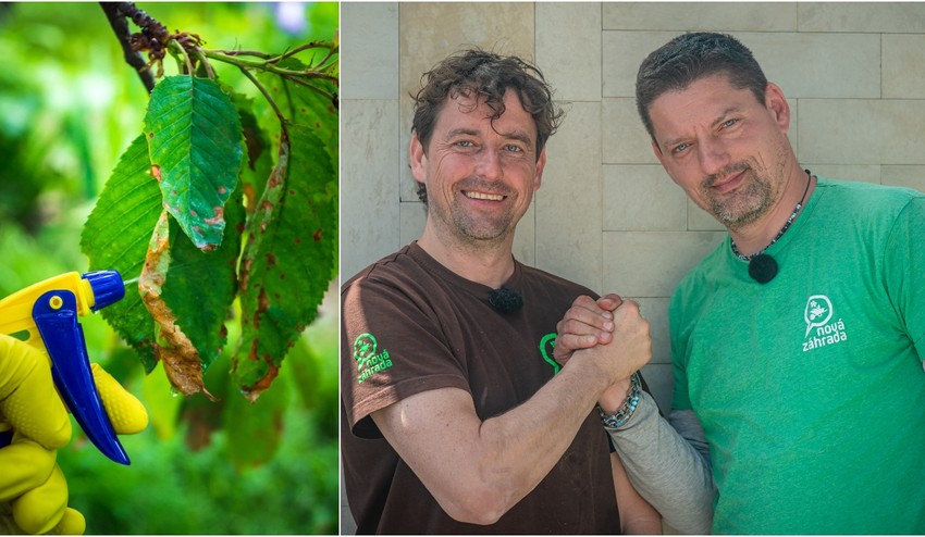 Zbavte sa škodcov bez zbytočnej chémie: Použite toto VČAS a záchranite mnohé rastlinky!