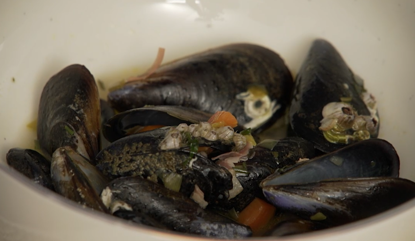 Hlavné jedlo: Casanova na plytčine