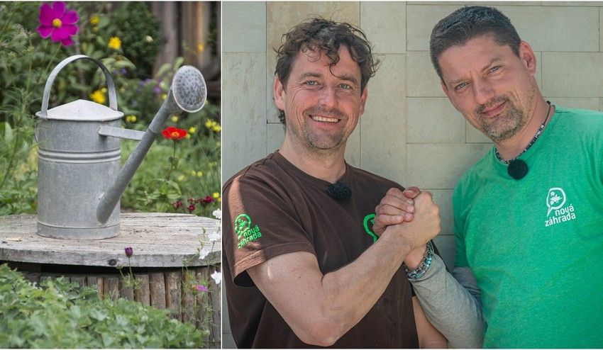 Vysychajú vám rastlinky aj napriek tomu, že ich polievate? Možno robíte TÚTO chybu!