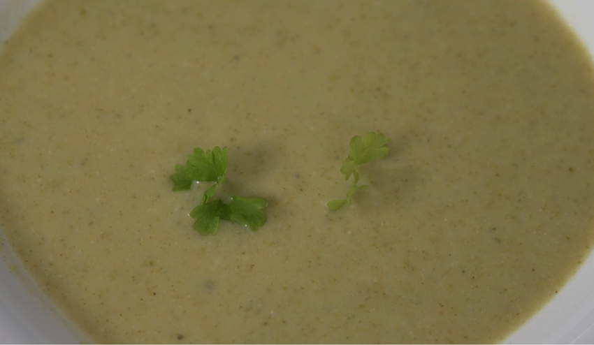 Polievka: Pondelkový závan leta