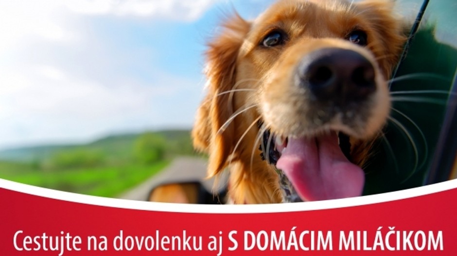 Cestovné poistenie Union domáci miláčikovia