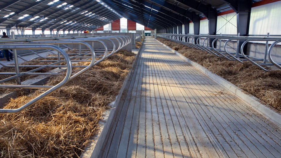 družstvo PR správa