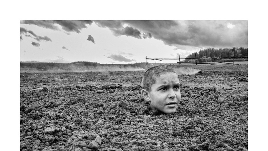 Pomaľované vtáča