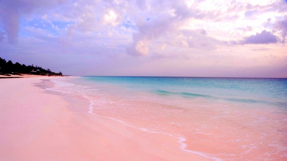 Ružová pláž