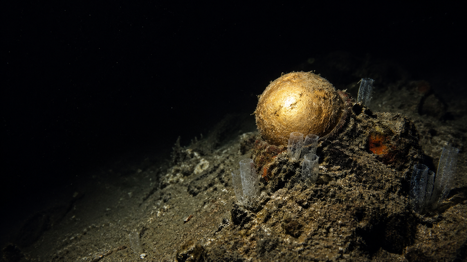 Zlatistý guľovitý objekt prichytený ku skale na tmavom morskom dne v hlbinách Aljašského zálivu.
