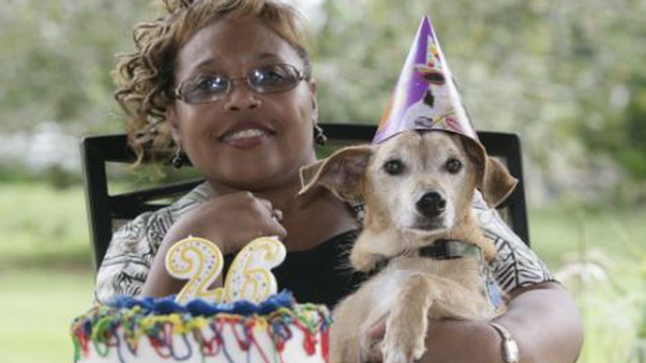 najstarsi pes sveta, max