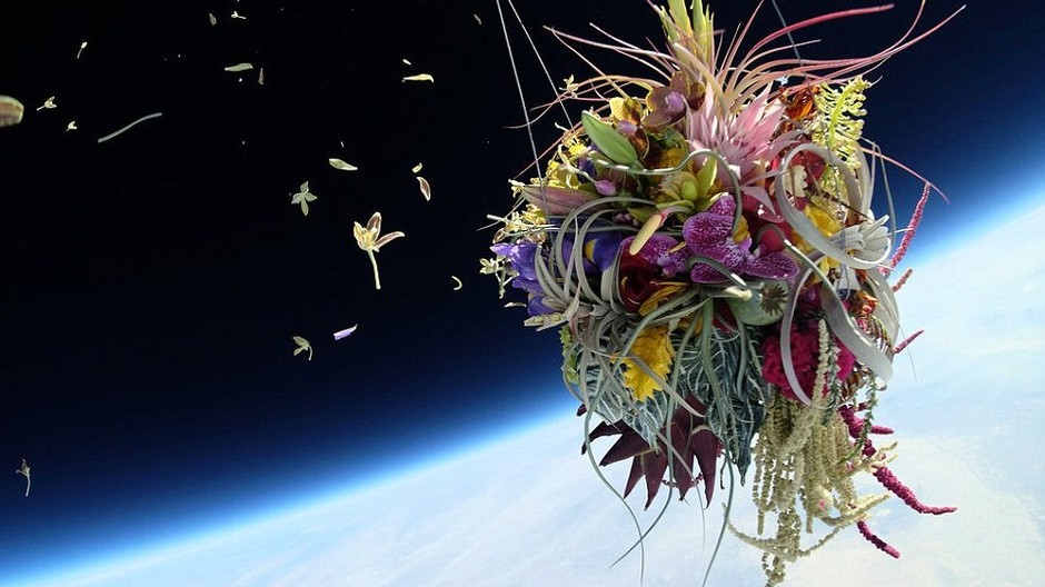 Kytica vo vesmíre