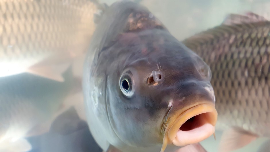 GettyImages-1329908899