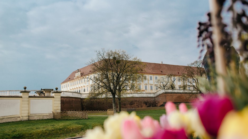 Schloss Hof 009 © Schloß Schönbrunn Kultur- und Betriebsges.m.b.H. - Michal Cilc_print