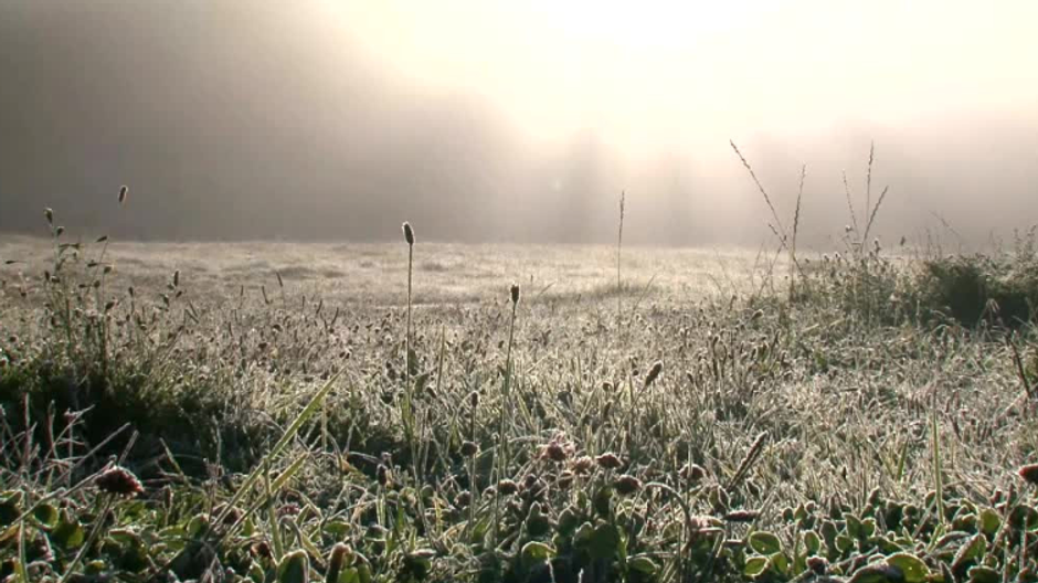 Prízemný mráz mrazy ilustračná foto
