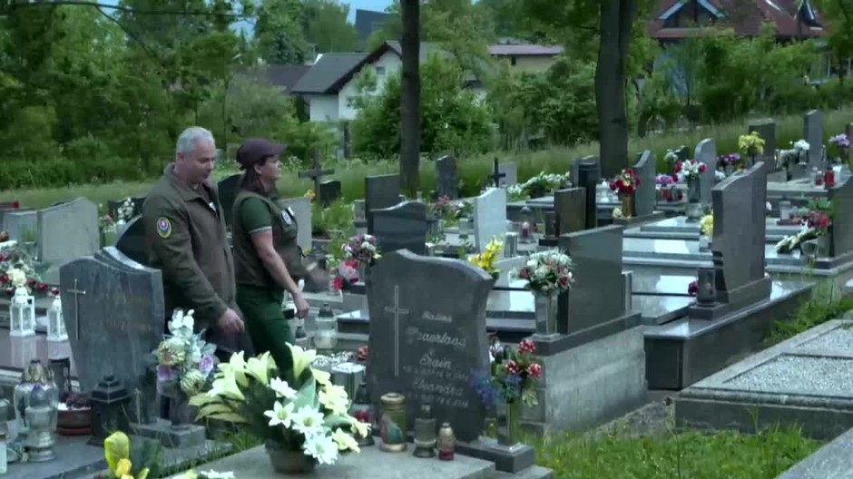 [multi] VN Medvede na cintorine 180