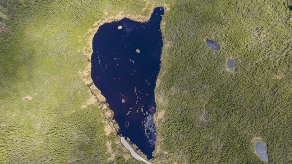 aerial-shot-ribnica-lake-surrounded-by-field-slovenia 
