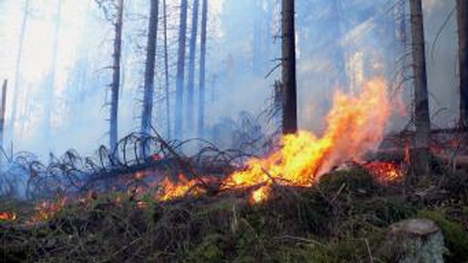 Požiar, oheň, dym, horiaca tráva, les