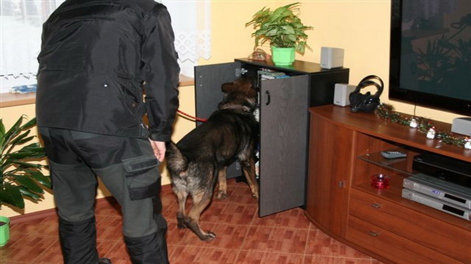 policajny pes vynuchal bankovky