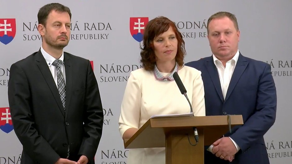 remisova vasecka heger