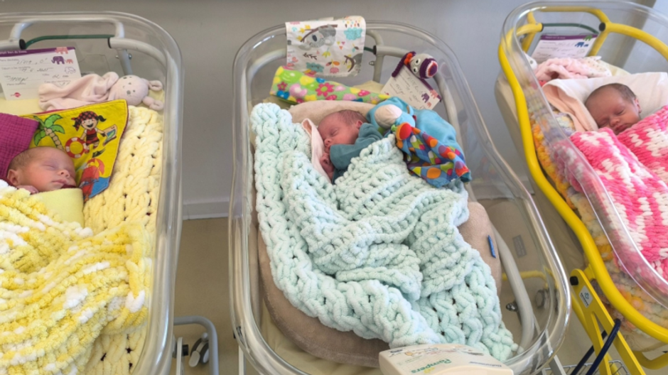 trojcata jednovajecne