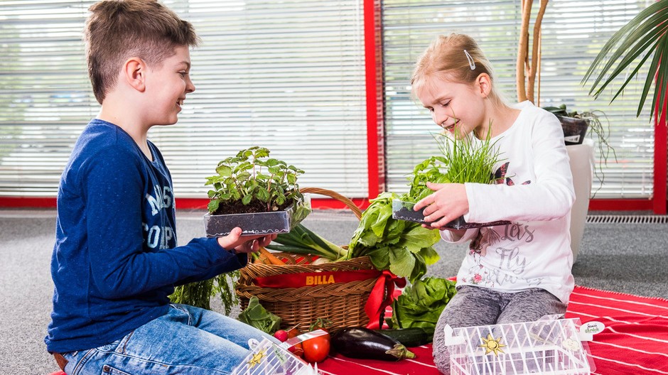 Billa Jamieho záhrada